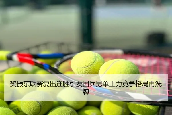 樊振东联赛复出连胜引发国乒男单主力竞争格局再洗牌