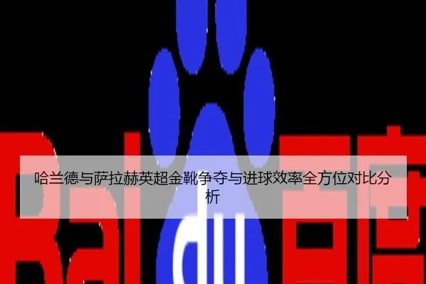 哈兰德与萨拉赫英超金靴争夺与进球效率全方位对比分析
